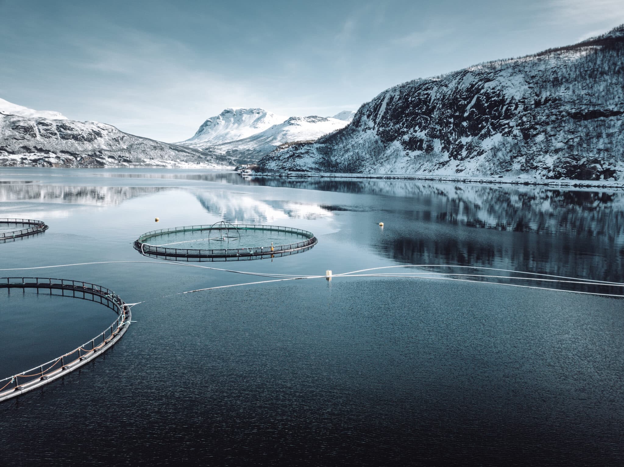Snowy fjord and aquaculture photograph.